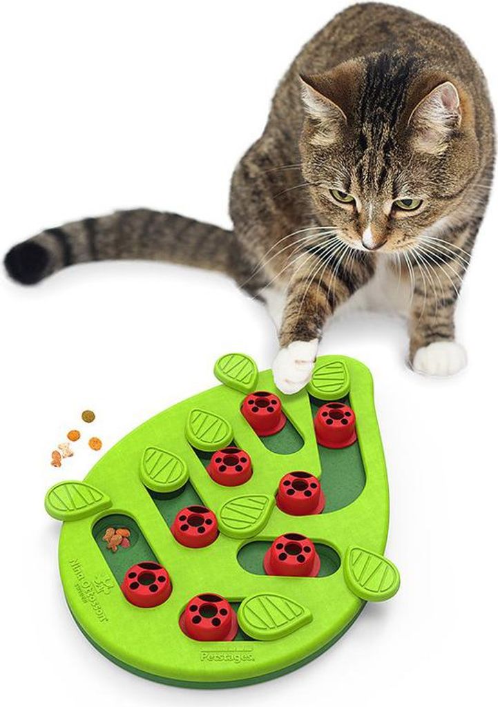 Nina Ottosson Puzzle & Play Buggin Out Green Image du produit 