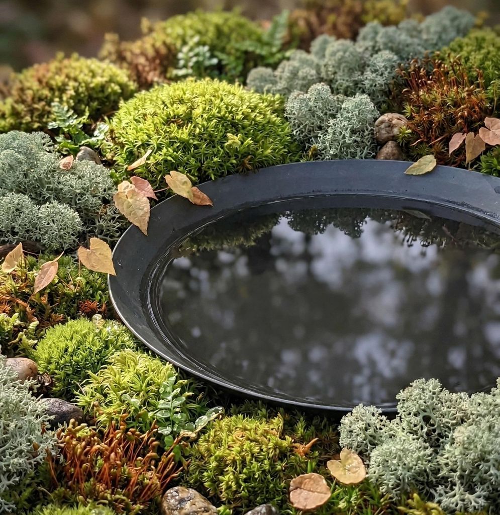 Ella Doris Garten Wasserschale, Antrazit, Ø60cm Produktbild 