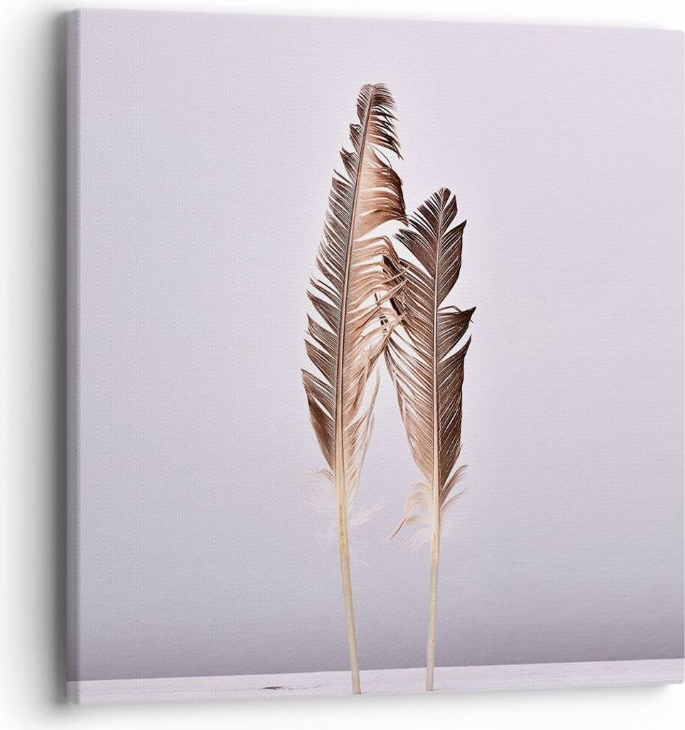 Bild auf Leinwand - Leinwandbild - Einteilig - Zwei Federn Flieder - 40x40cm - Wand Bild - Wanddeko - Wandbilder - Leinwanddruck - Bilder - Wanddek...