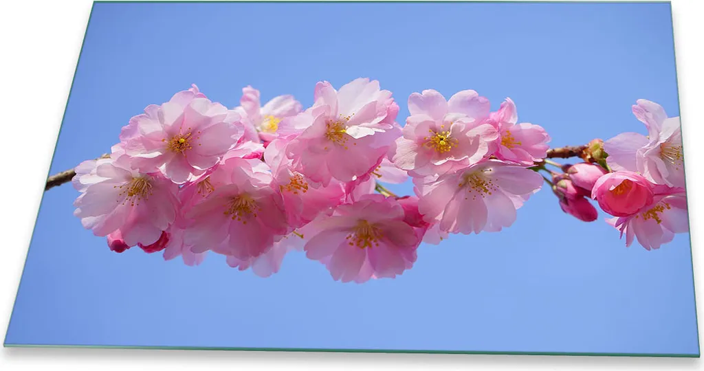Copri Piano Induzione 80x52 in Vetro - Design Fiori Rosa Elegante