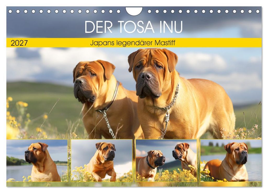 Der Tosa Inu. Japans legendärer Mastiff (Wandkalender 2027 DIN A4 quer), CALVENDO Monatskalender