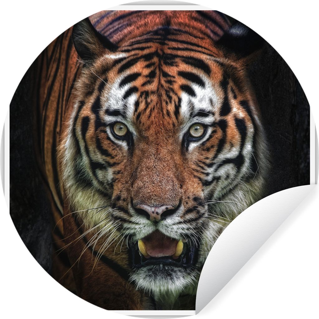 MuchoWow Runde Wandtattoo - Wandsticker Tapete Aufkleber Tiger - Kopf - Schwarz Ø 50 cm Selbstklebend und Repositionierbar - Wandaufkleber - Kre...