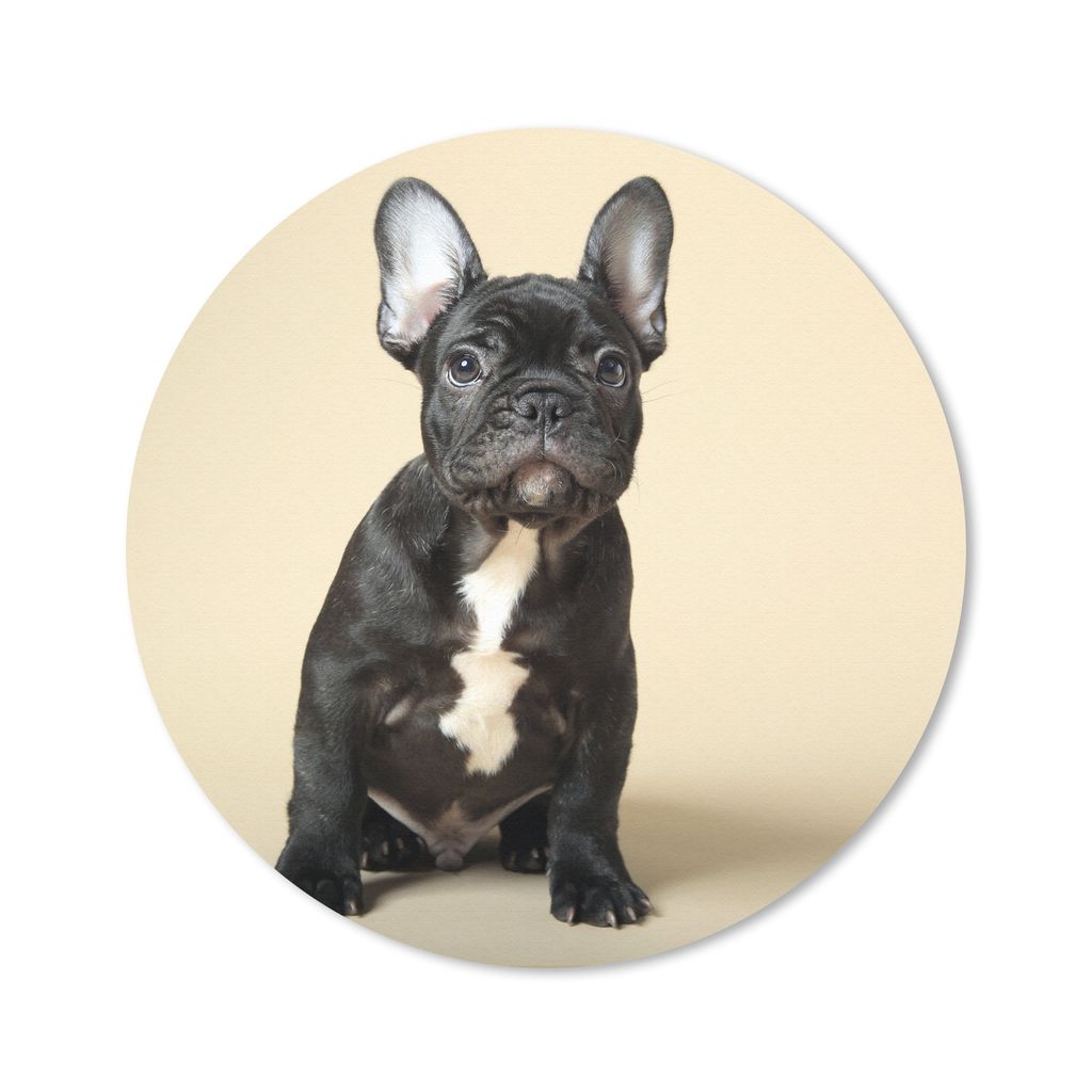 MuchoWow Mauspad Mousepad Französische Bulldogge - Schwarz - Beige 50x50 cm - Mousepads - Maus Mat - Pad - Mausunterlage - Vinyl