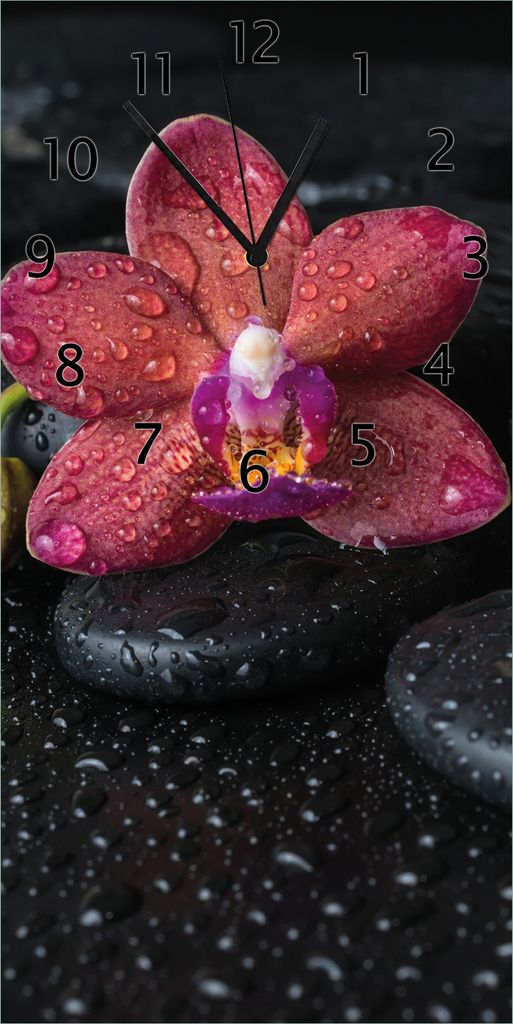 Wallario Design Wanduhr Orchideen-Blüte auf schwarzen Steinen, benetzt mit Wasser-Tropfen aus Echtglas, Größe 30 x 60 cm