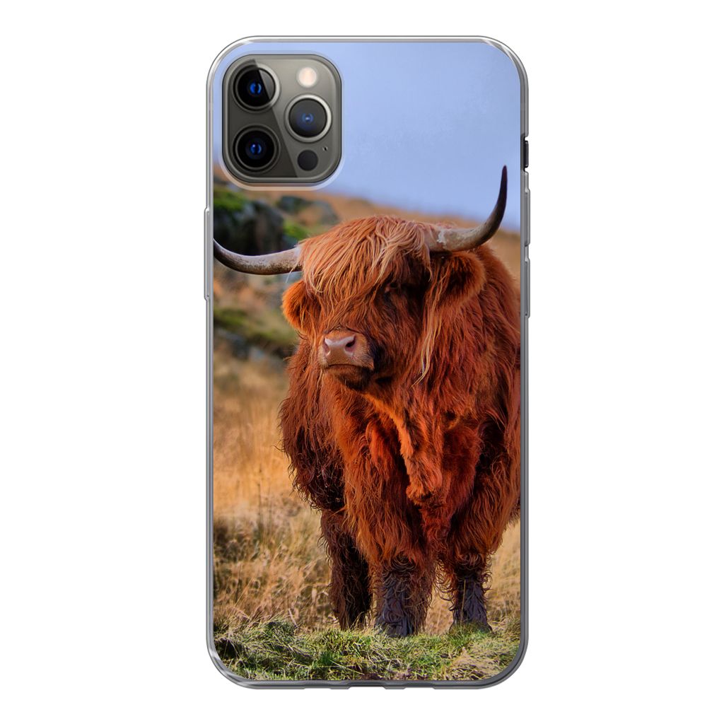MuchoWow Handyhülle Schutzhülle Hülle für iPhone 13 Pro Max Schottische Highlander - Gras - Steine Silikon Softcase Handy Hülle - Mobiltelefon