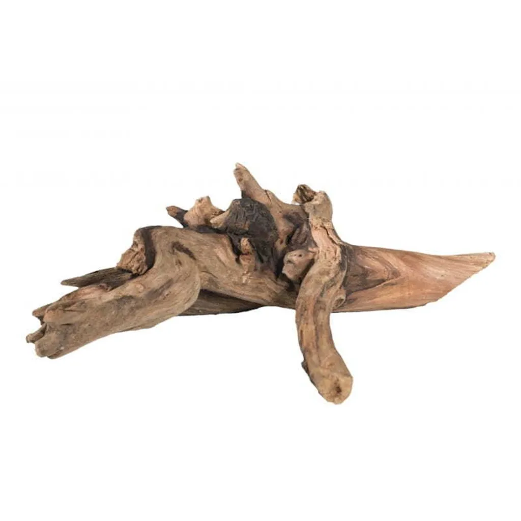 Set 3 Radici di Legno Naturale per Uccelli e Pappagalli Medi