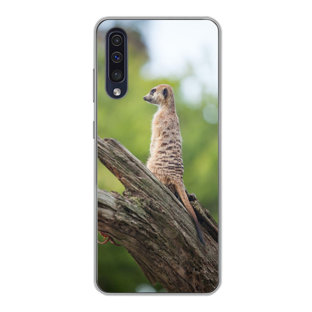 MuchoWow Handyhülle Schutzhülle Hülle für Samsung Galaxy A30s Erdmännchen - Ast - Baum Silikon Softcase Handy Hülle - Karteninhaber
