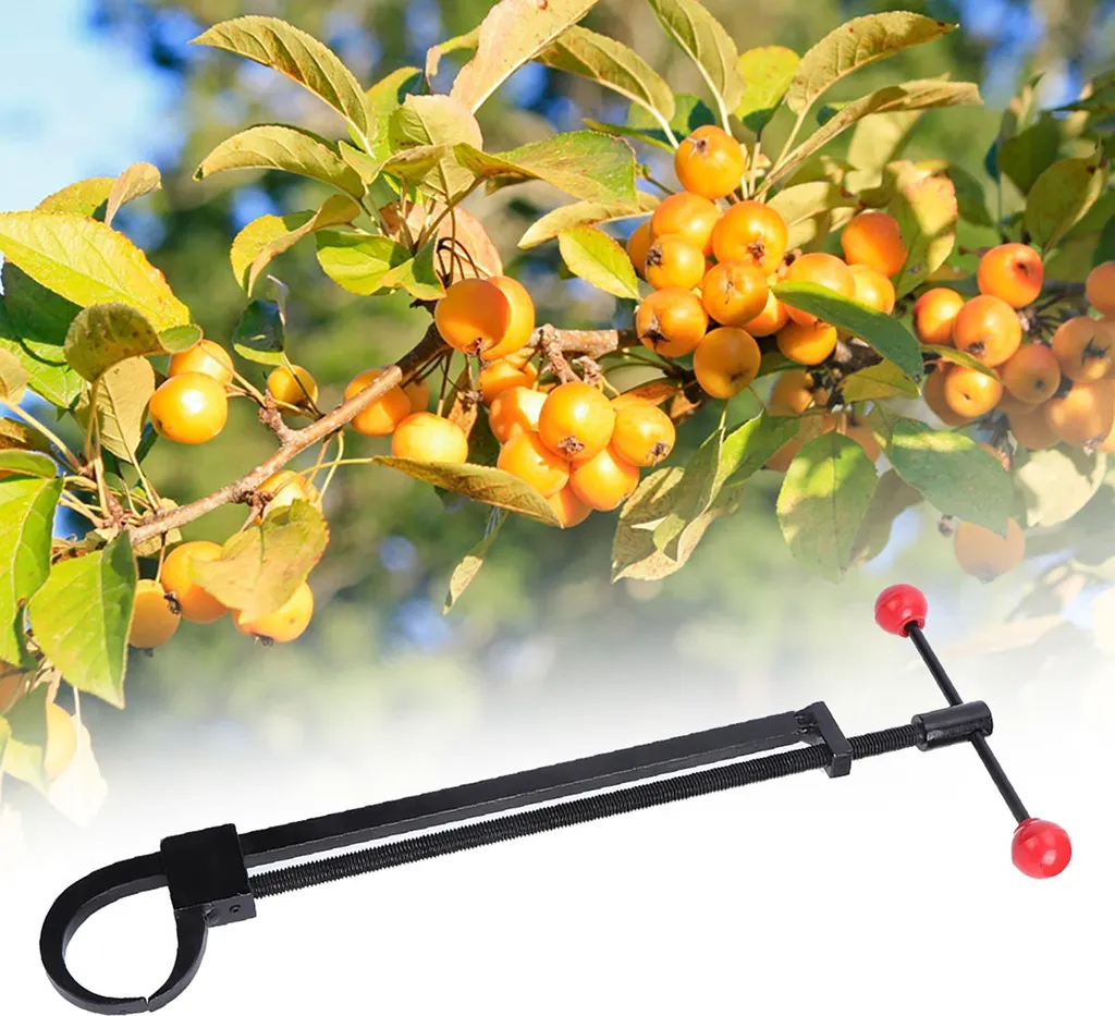 Outil pour Courber les Branches de Bonsaï Création de Formes de Tronc - 3