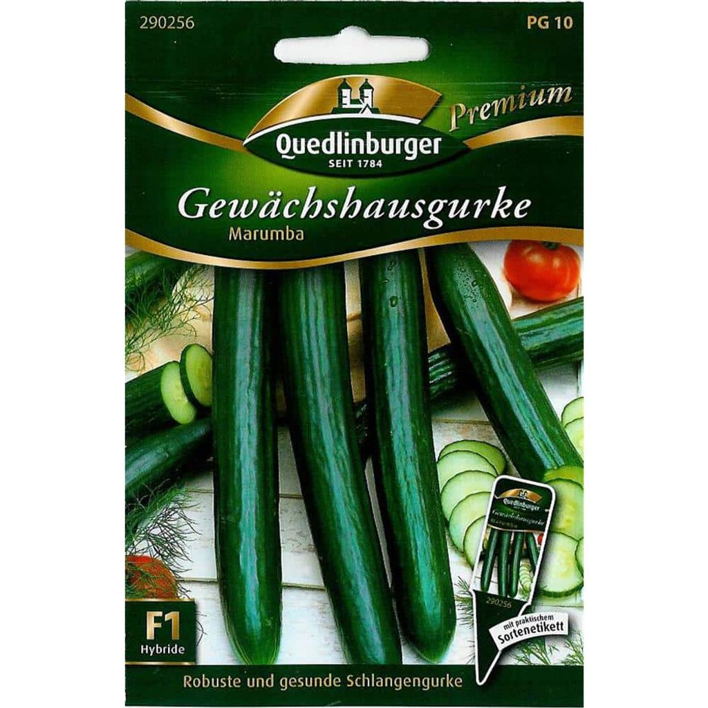 Gewächshausgurke Marumba F1 | Gurkensamen von Quedlinburger Produktbild 