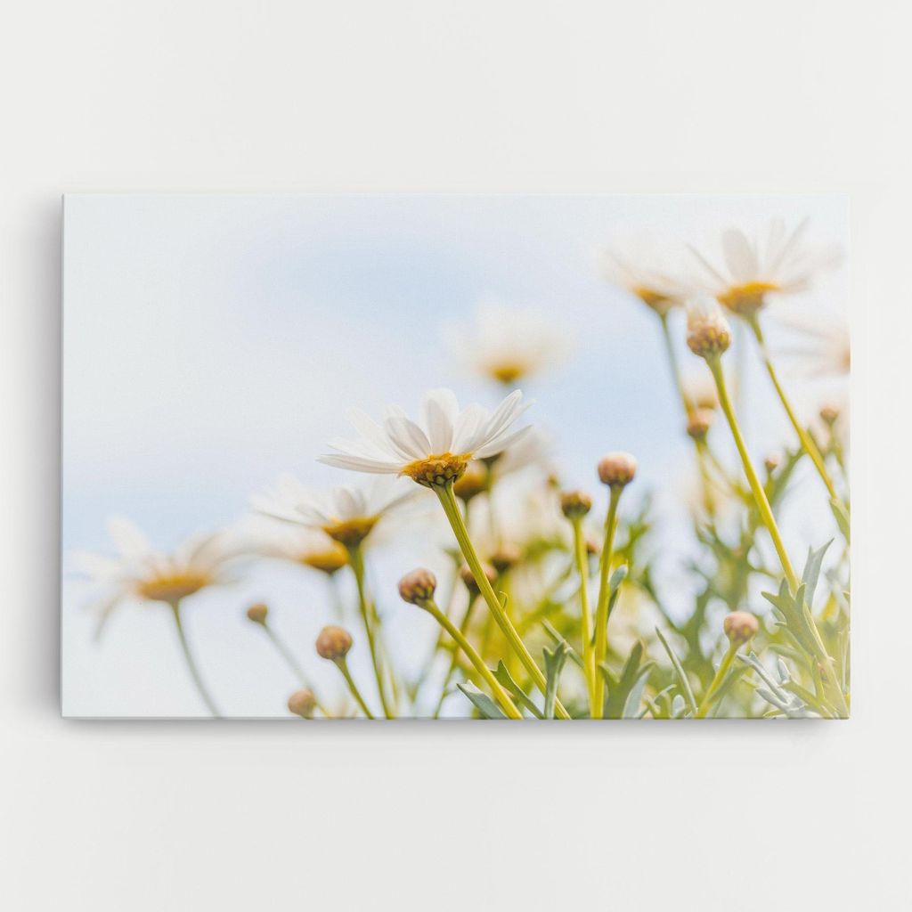 ARTHUB Leinwandbild 20x30 cm, Dreamy Daisy | Wohnzimmerdekoration, Hängende Bilder, Wanddekoration, Heimdekoration, Blumen, Gänseblümchen