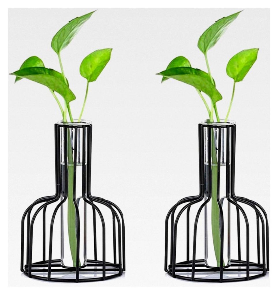 2 Stück Mini Vasen Set Glasvase Schwarz Kleine Vasen für Tischdekoration Blumenvase Modern Hydroponische Glasvase Reagenzgläser für Blumen Hoch...