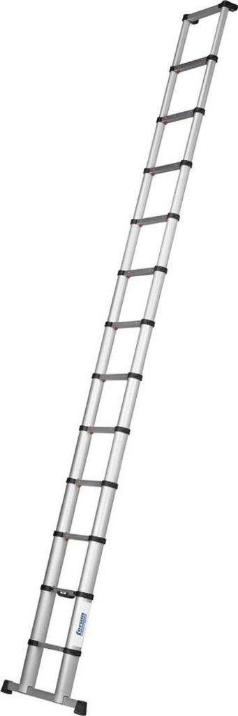 Forum Teleskopleiter max. 380 cm, DIN EN 131-6