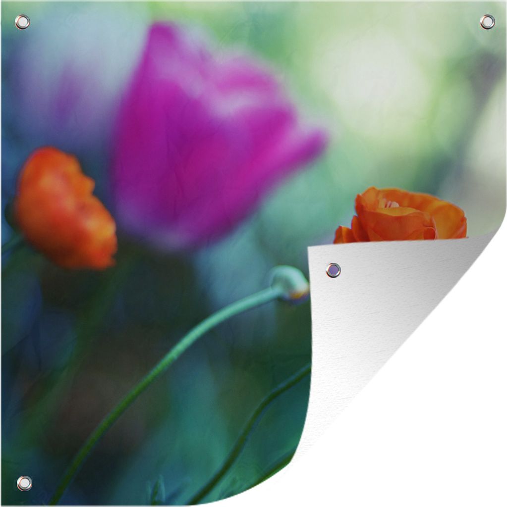 MuchoWow 50x50 cm Outdoor-Poster Gartendeko Sichtschutz Garten Poster für den Garten Ein Feld mit lila und orangefarbenen Tulpen