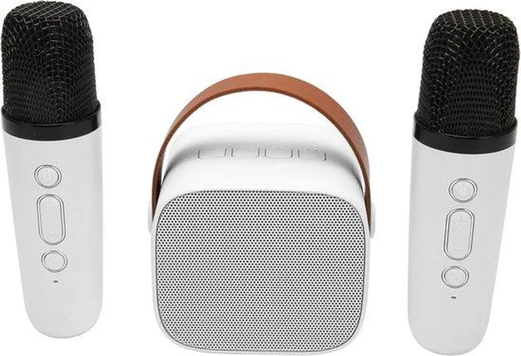 Kit Karaoké Portable Bluetooth avec 2 Micros Sans Fil - Enfants et Adultes