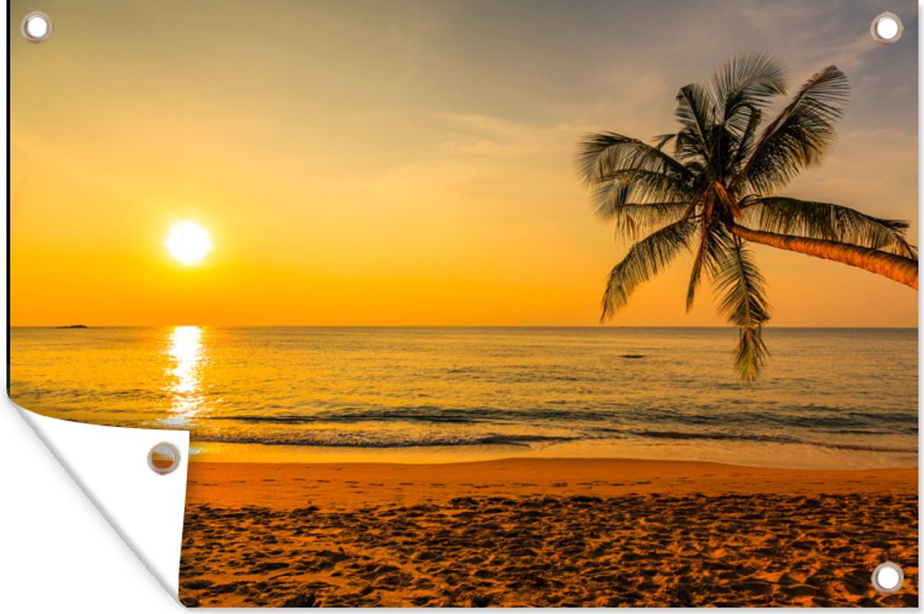 MuchoWow 60x40 cm Outdoor-Poster Gartendeko Sichtschutz Garten Poster für den Garten Palme - Strand - Sonnenuntergang - Meer