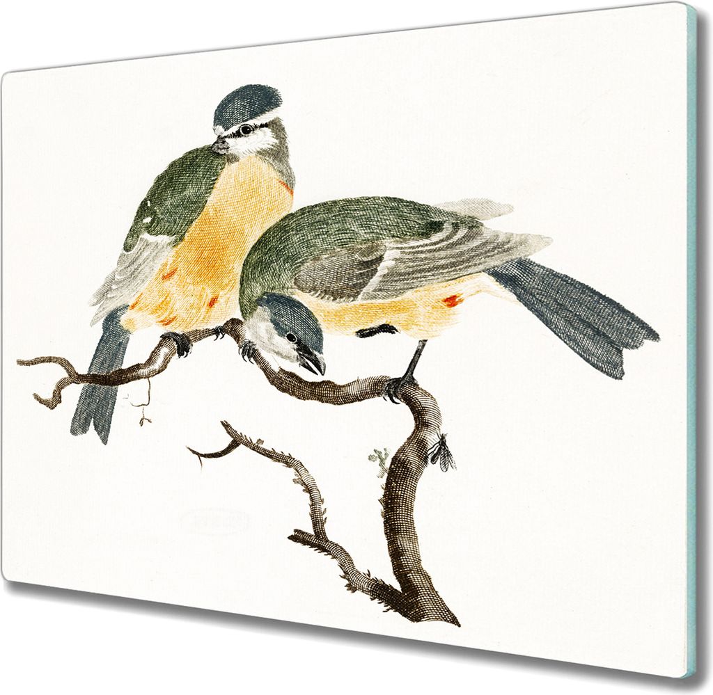 Coloray Schneidebrett Herdabdeckplatte 60x52 cm Kochplattenabdeckung Küchenbrett Hackbrett - Tiere Vögel Meise
