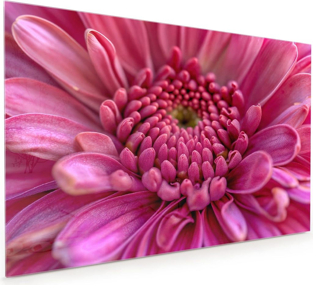 Küchenrückwand Spritzschutz Glas mit Motiv Nahaufnahme Blume 40 x 40 cm