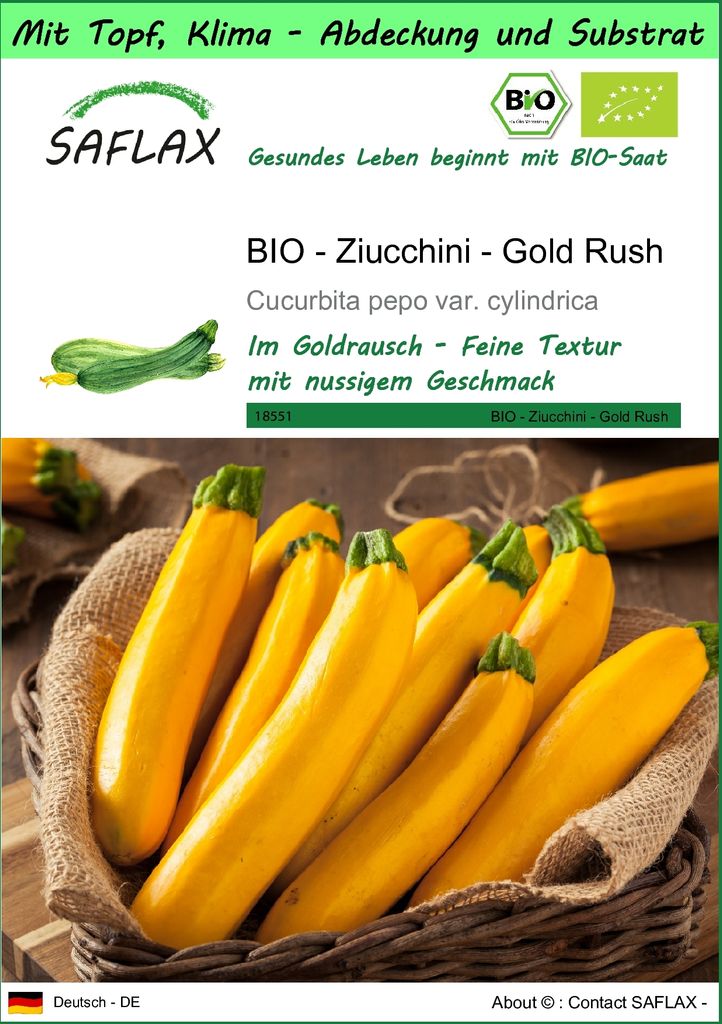 SAFLAX Garden to go - BIO - Ziucchini - Gold Rush - Cucurbita pepo var. cylindrica - 5 Samen - Mit Topf, Klima - Deckel und Anzuchtsubstrat