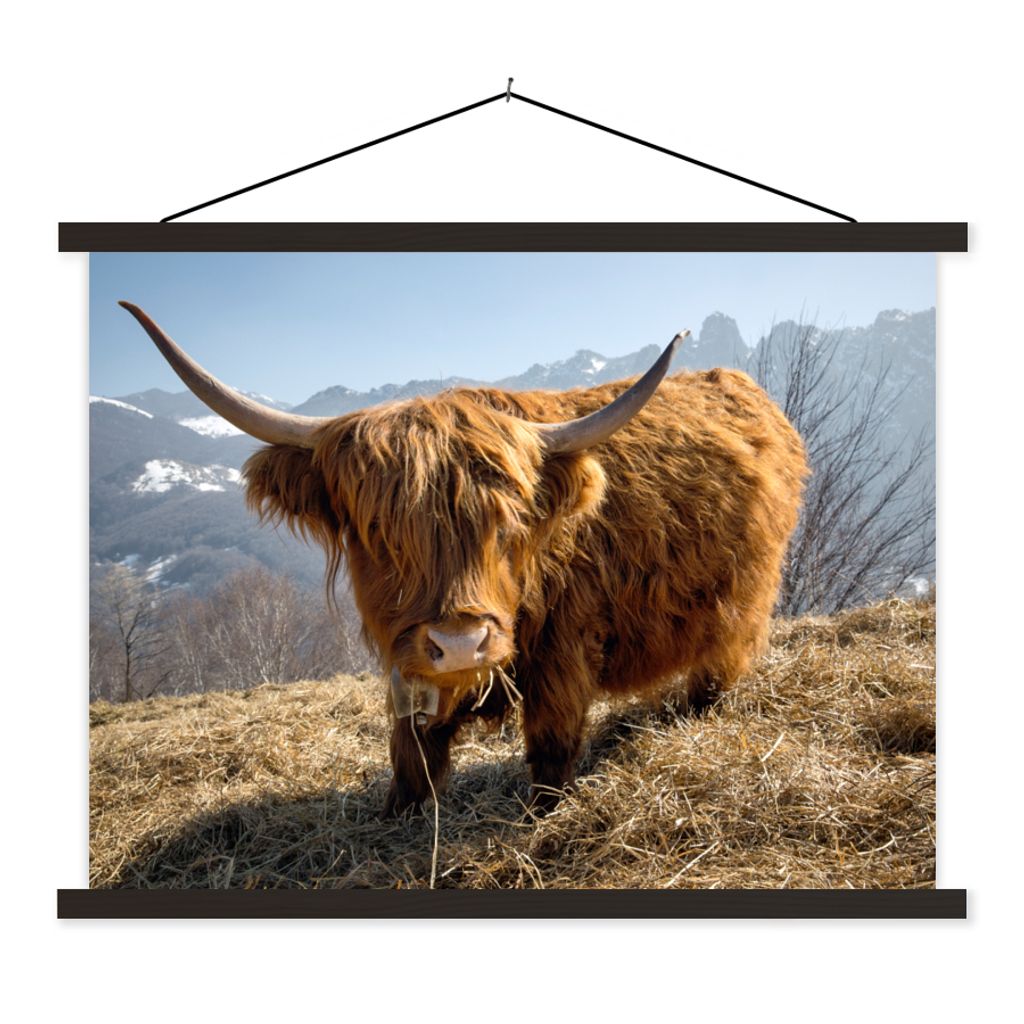 MuchoWow Textilposter Schottischer Highlander - Berg - Schnee 150x113 cm mit holzfarbenen Rahmen - Poster