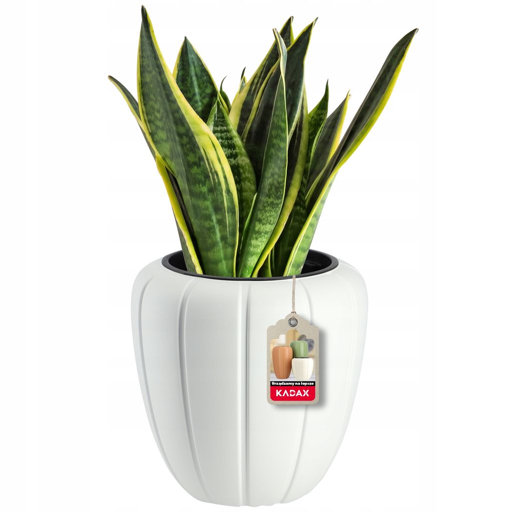 KADAX Blumentopf "Pale", Blumentopf aus Kunststoff, 40cm, Weißer Topf