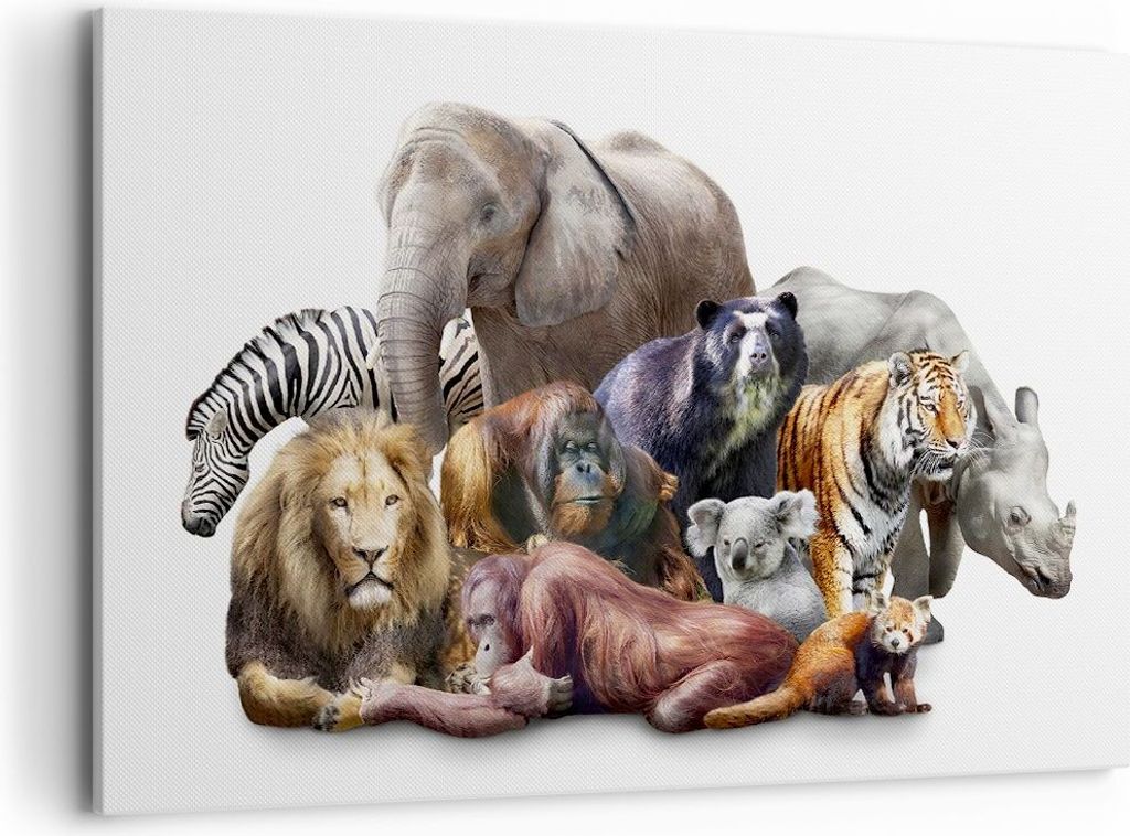 Bild auf Leinwand - Leinwandbild - Tiere Koala Löwe Affe - 120x80cm - Wand Bild - Wanddeko - Leinwanddruck - Bilder - Kunstdruck - Wanddekoration ...