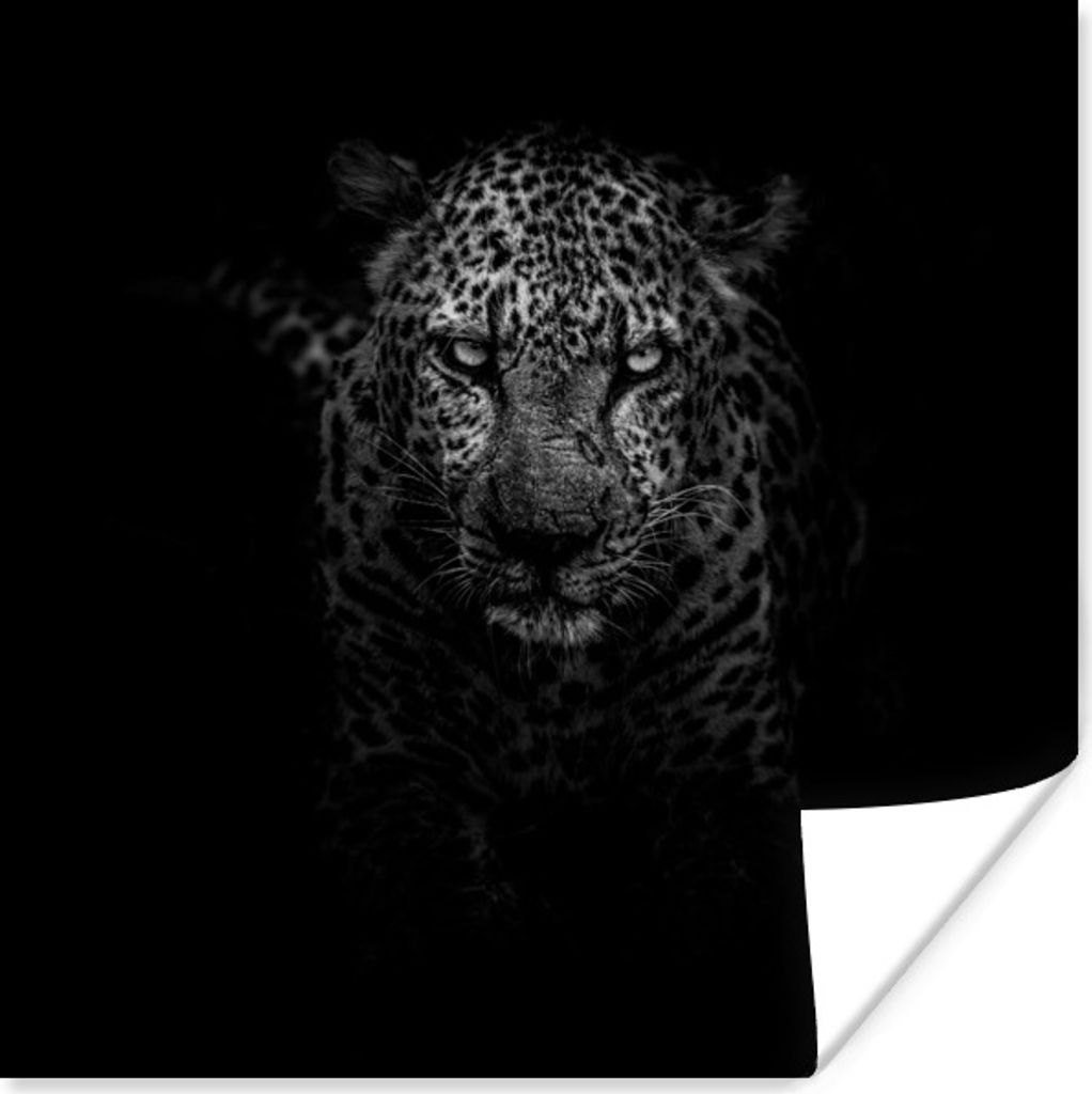 MuchoWow Poster Leopard - Schwarz - Weiß 75x75 cm - Wand Dekoration