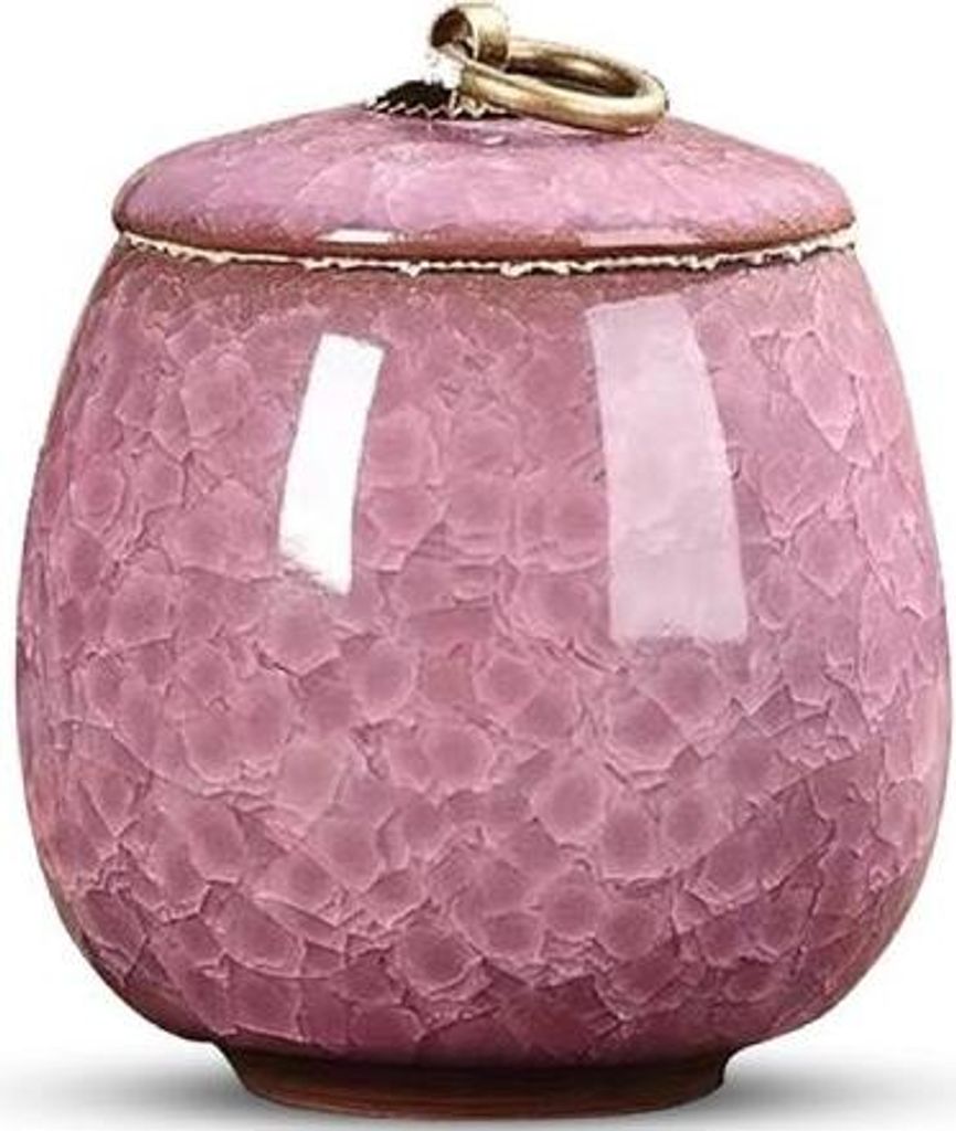Urna Luxe Mini 170 ML in Vetroceramica - Rosa - Per ceneri Immagine del prodotto 