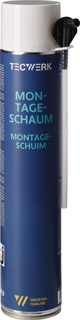 1K-Montageschaum 750ml B2 champagner m.Einw.-Handsch.Dose TECWERK