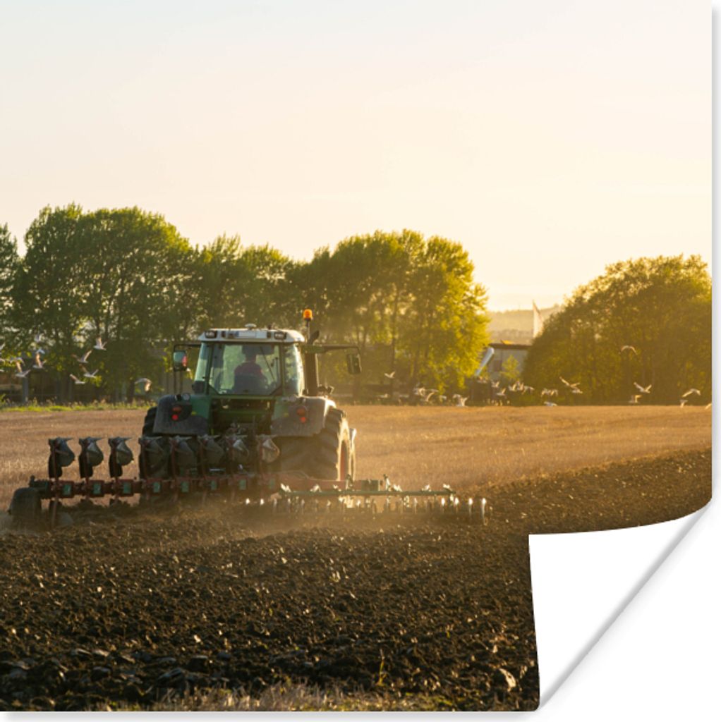 MuchoWow Poster Traktor - Vogel - Land 30x30 cm - Wandposter - Printing