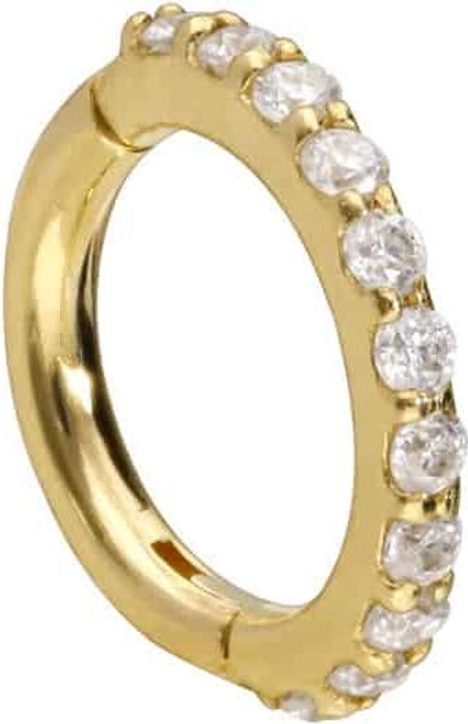 Ohrpiercing, Nasenpiercing, Septum Piercing 14/18 Karat Gold Segmentring Clicker EINGEFASSTE MOISSANITE 14 Karat | Gold Innendurchmesser: 5mm | Sta...