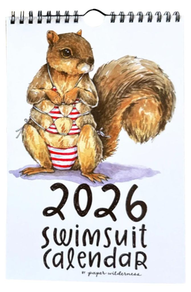 Wandkalender 2026 mit niedlichen Tieren im Badeanzug – 12-Monats-Planer zum Aufhängen – Lustiger Tierkalender für Zuhause, Büro und Klassenz...
