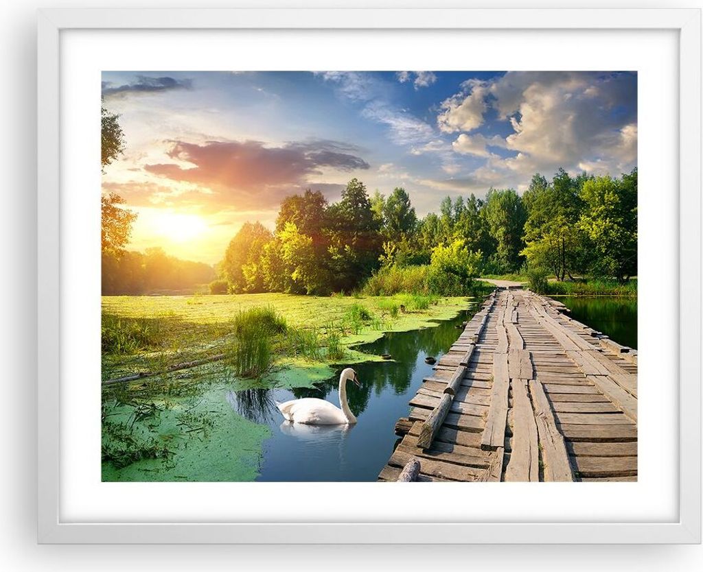 Gerahmtes Poster - Weißer Rahmen - Architektur Promenade Schwan Landschaft - 50x40 cm - Wand Bild - Wanddeko - Wandbilder - Wandposter - Bilderrah...