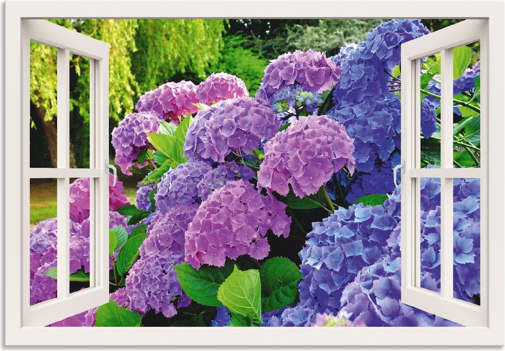 ARTland Wandbild Alu für Innen & Outdoor fensterblick Hortensien im Garten Größe: 130x90 cm