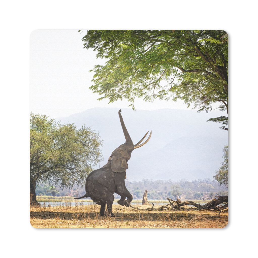 MuchoWow Mauspad Mousepad Elefanten in Simbabwe erreichen 30x30 cm - Mousepads - Maus Mat - Pad - Mausunterlage - Gaming