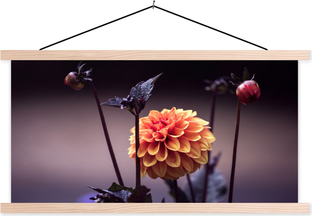 MuchoWow Textilposter Blumen - Chrysantheme - Makro - Pflanzen 120x60 cm mit holzfarbenen Rahmen - Klemmleiste
