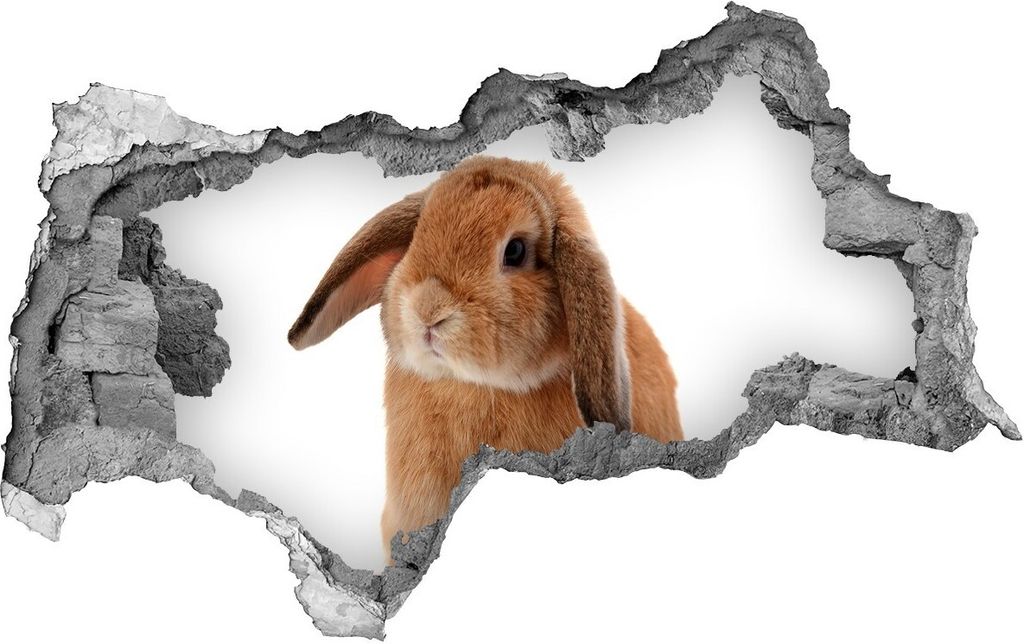 Selbstklebender Loch-3D-Aufkleber 95x73 cm Rudy Kaninchen