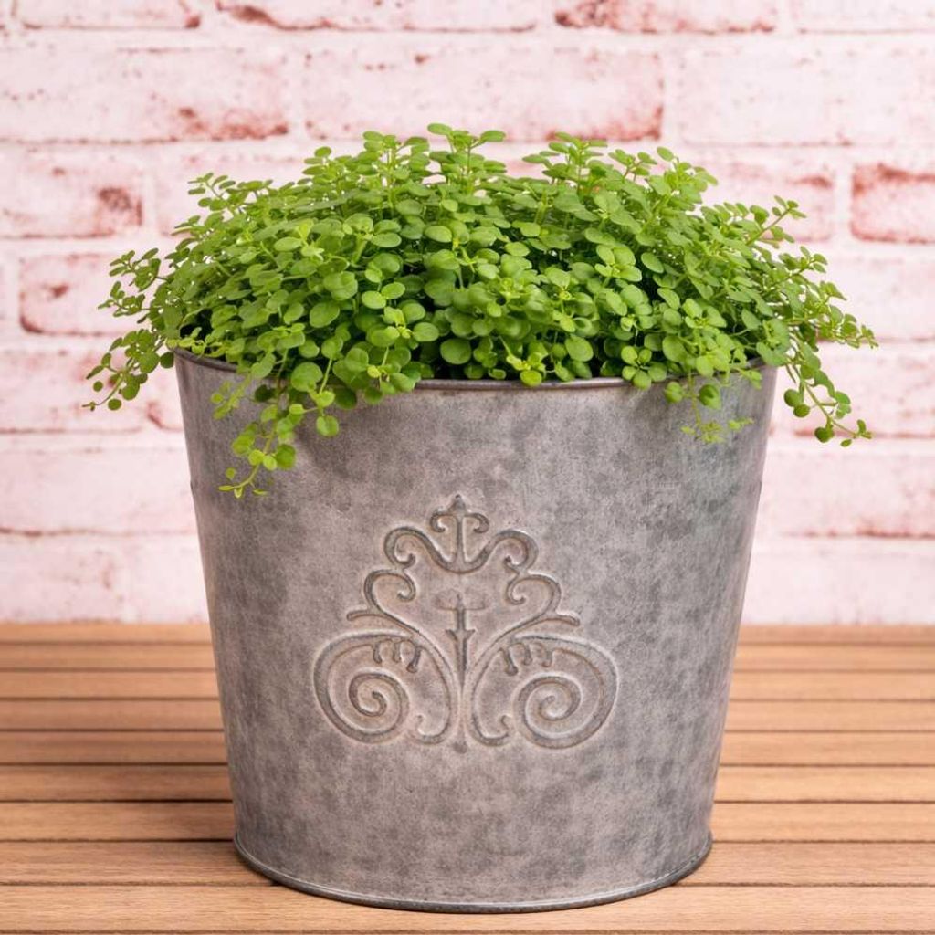 AltoBelli Blumentopf VERA Antik Patina Metall 16x13 cm Übertopf