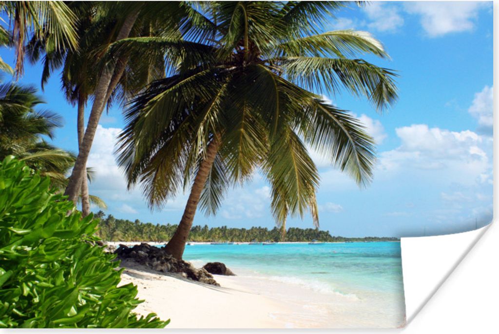 MuchoWow Poster Palme - Meer - Tropisch 30x20 cm - Plakate - Print