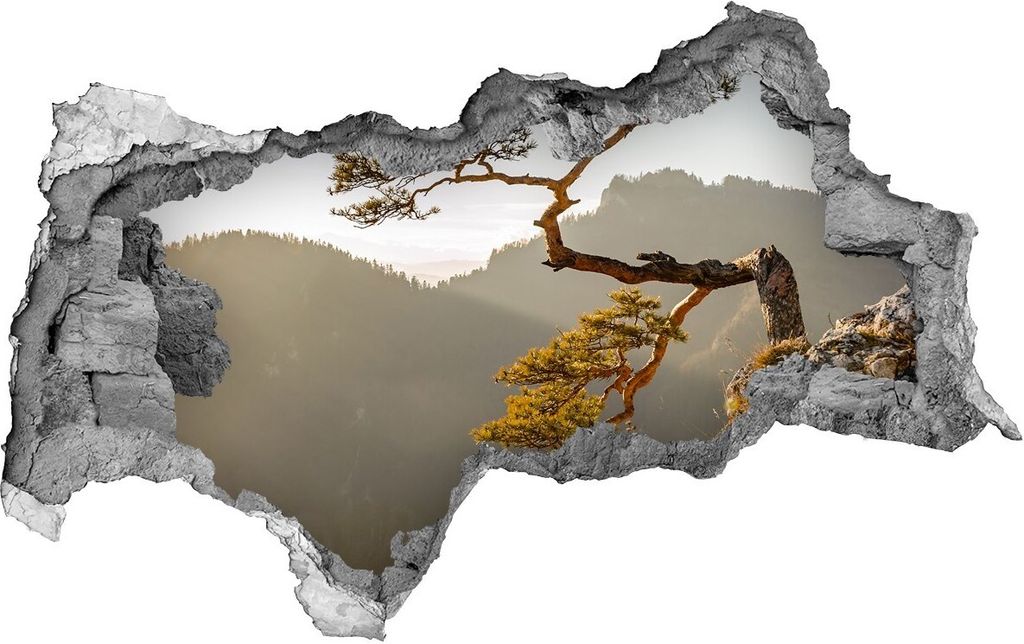 Selbstklebender Loch-3D-Aufkleber 95x73 cm Pieniny Sokolica