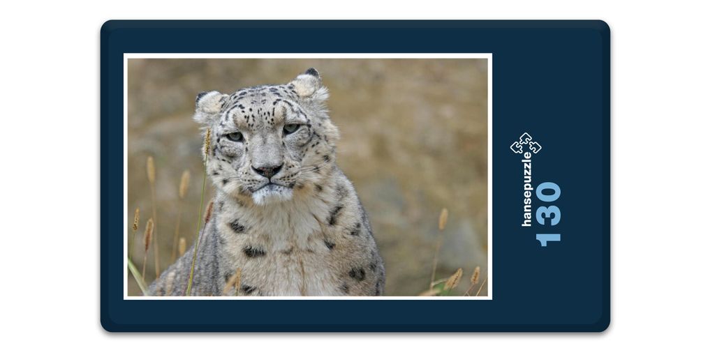 hansepuzzle 16839 - Schnee-Leopard Puzzle, 130 Teile, Tierwelt, 28,7 x 20,0cm mit hochwertiger Aufbewahrung, Kartonbox & Beutel