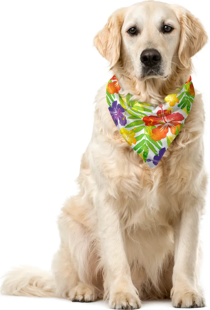 Bandana Esotica ABAKUHAUS per Cani | Ibisco Multicolore 55x55 cm