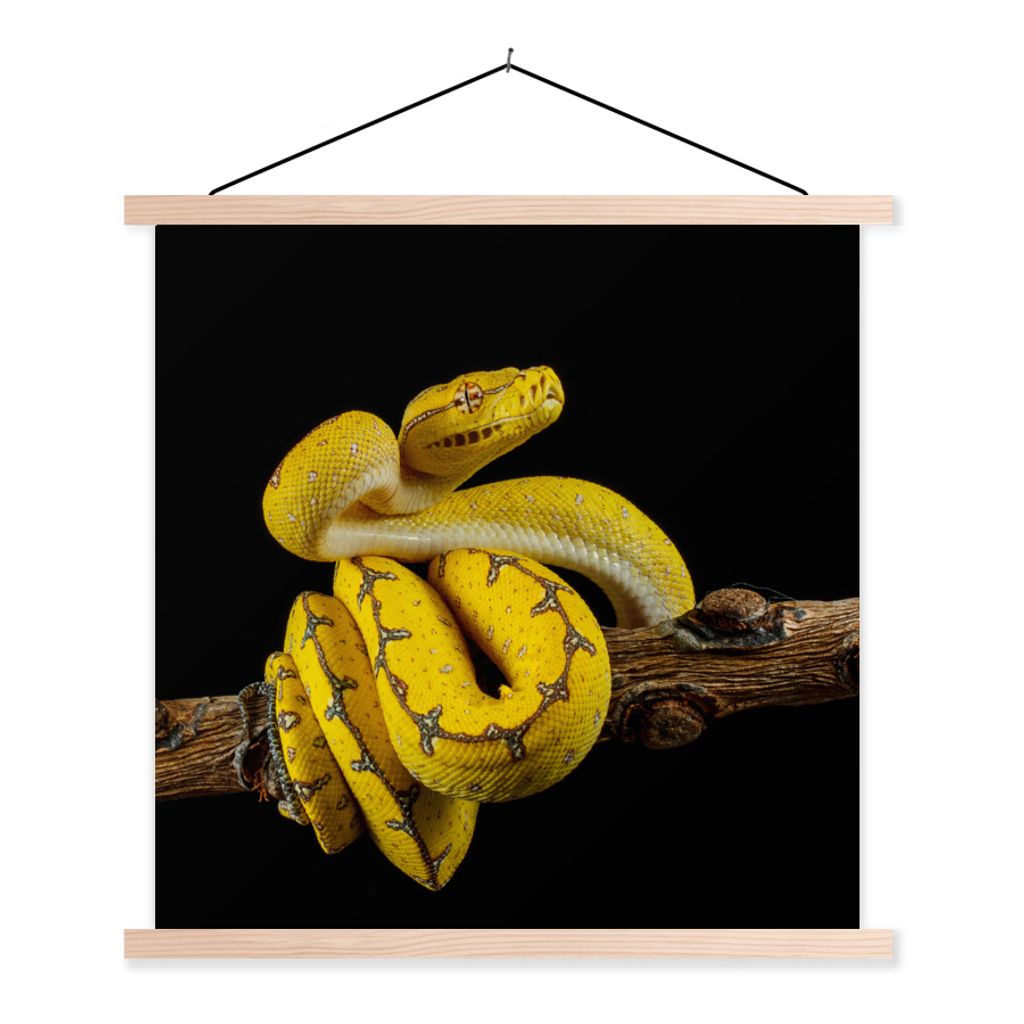 MuchoWow Textilposter Schlange - Zweig - Gelb 60x60 cm mit holzfarbenen Rahmen - Wanddekoration