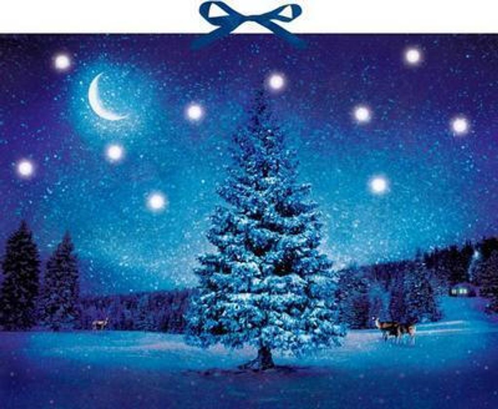 Magia d'inverno Immagine del prodotto 