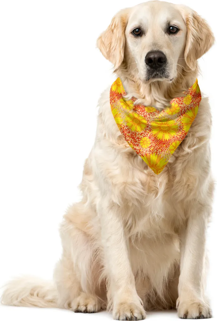 ABAKUHAUS Bandana per animali domestici con fiori, stile retrò con vista dall'alto, 40x40 cm, giallo pesca chiaro