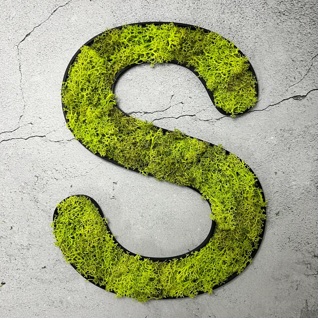 Lettera S Muschio d'Islanda - Verde Primavera della Tradizione Nordica
