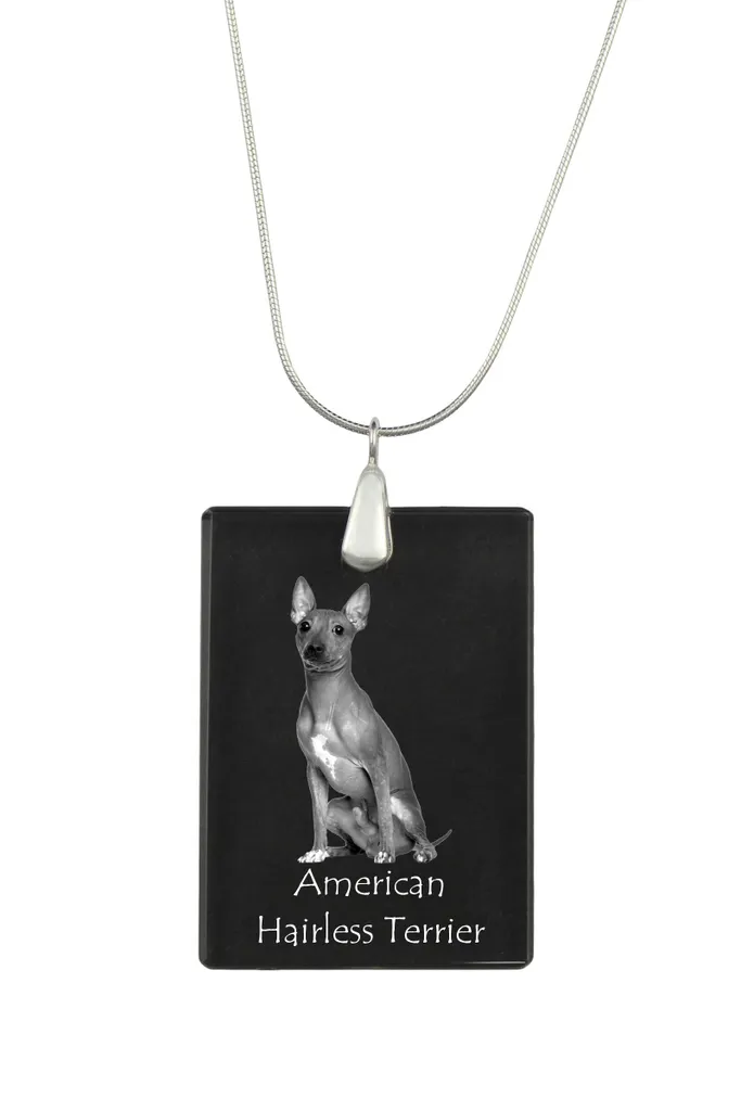 Pendentif Personnalisé en Argent et Cristal Gravé Terrier Américain 925