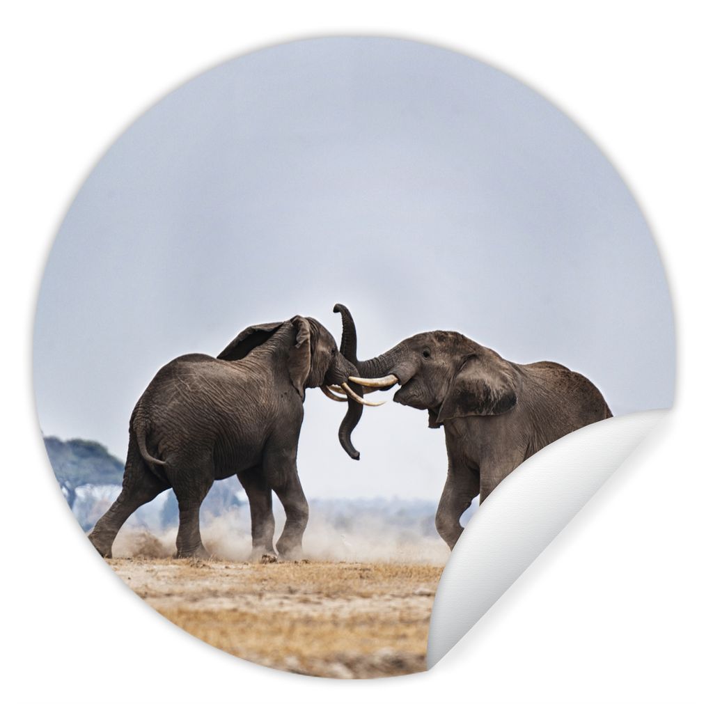 MuchoWow Runde Wandtattoo - Wandsticker Tapete Aufkleber Elefant - Tiere - Flachland - Natur Ø 50 cm Selbstklebend und Repositionierbar - Wandau...