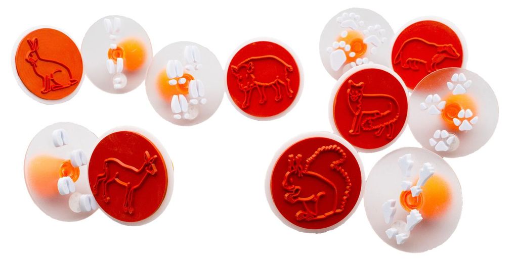 Eduplay Stempelset Tierspuren - Spielzeug Set mit 12 Produktbild 