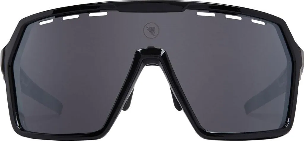 Lunettes Endura SingleTrack RE1342 noir, pour le cyclisme de piste