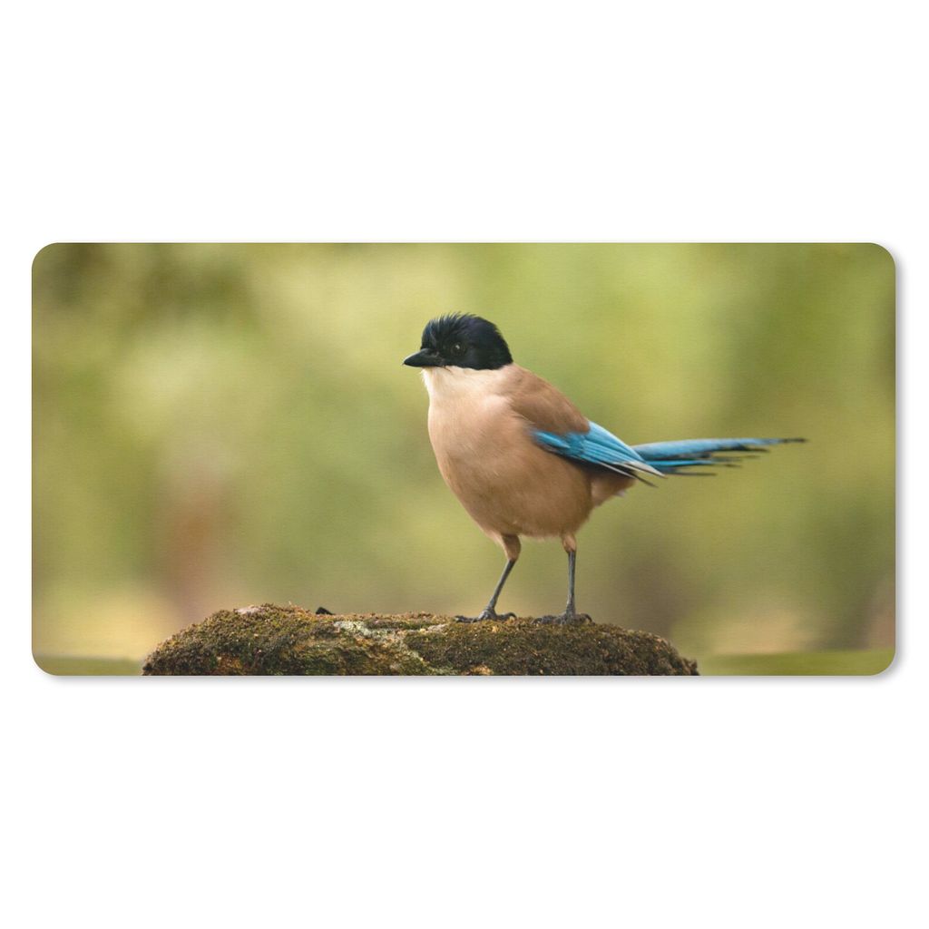 MuchoWow Schreibtischunterlage Elster - Vogel - Moos 80x40 cm - XXL Mauspad - Gaming Mauspad